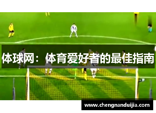 体球网：体育爱好者的最佳指南
